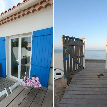 Grand Sud